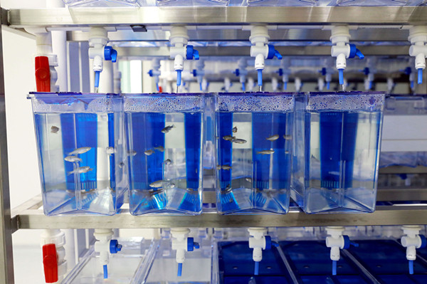 1767753683166207.jpg 6W8A1930_副本.jpg